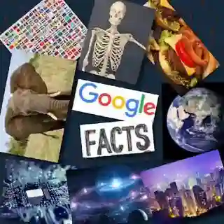 Google Facts™ [ @googlefactss🌎]